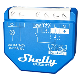 Shelly Wave 1